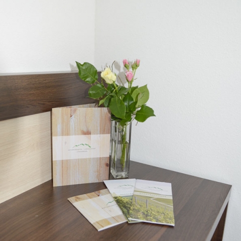 neueshotel_Zimmer_Detail_3_900