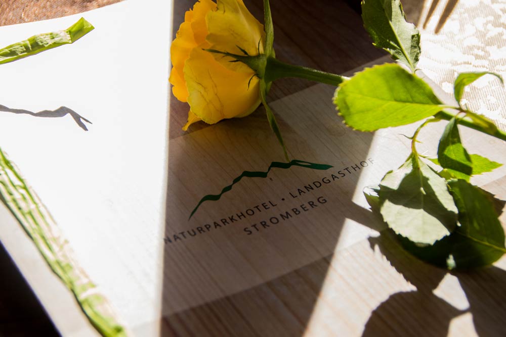 bild_galerie_gewoelbe2