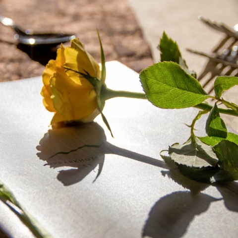 bild_galerie_philosophie1