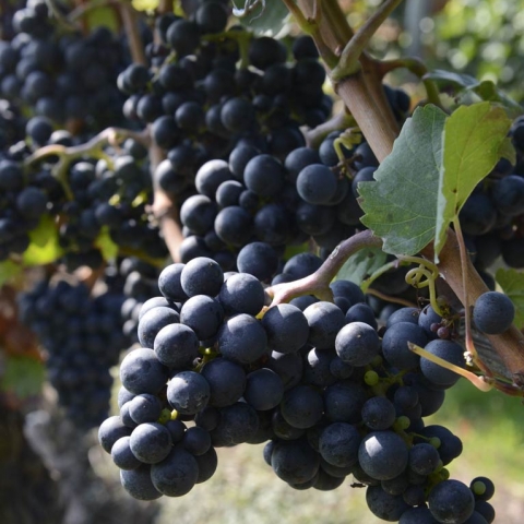 bild_galerie_philosophie3