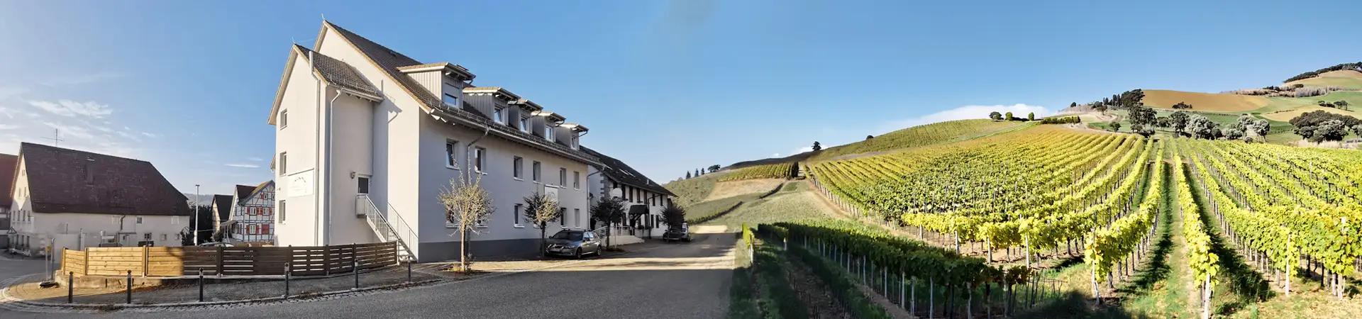 Naturparkhotel und Landgasthof Stromberg in Ochsenbach mit Weinbergen